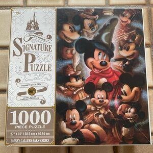 Disney Park Puzzle 1000 piece